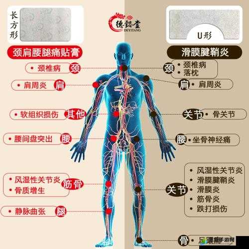 颈腰挺过那层薄膜好疼痛缓解方法：实用技巧