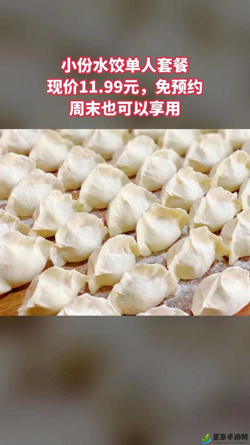 授课方式 po 肉馅小水饺：如何制作美味的肉馅小水饺