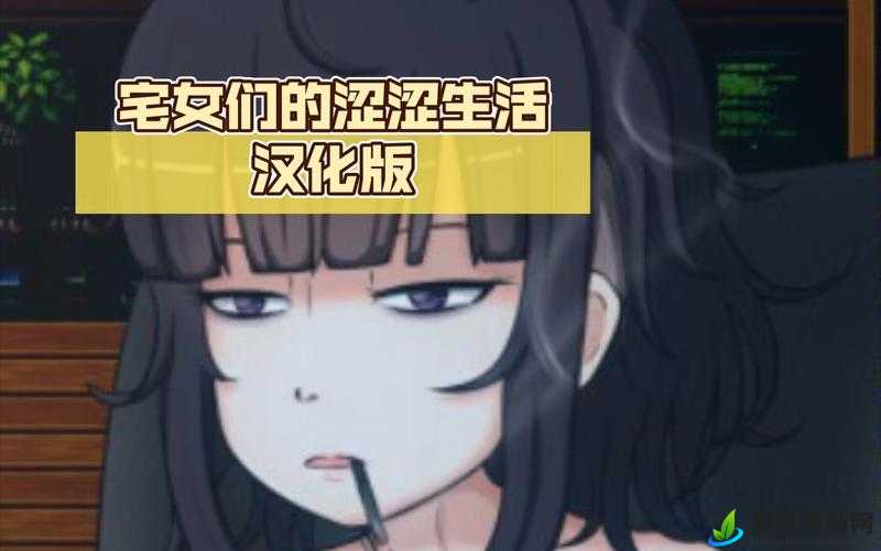 涩涩网页版：带你探索全新世界