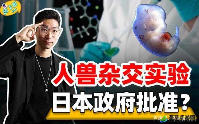 了解杂交 BUCSM 人类 SSBA 被爆料完全免费详情