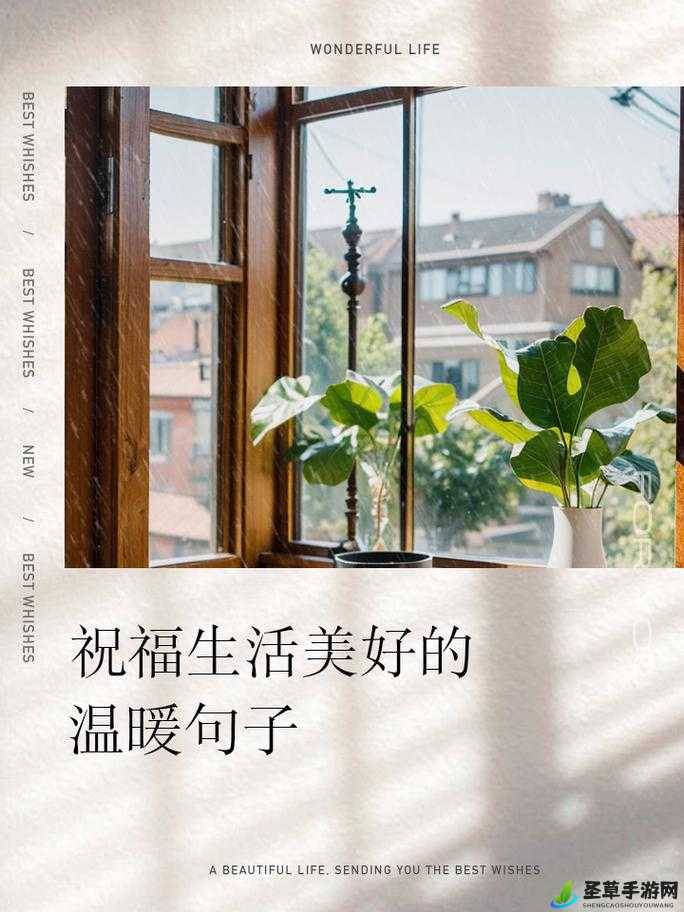 糖心：甜蜜与美好相伴