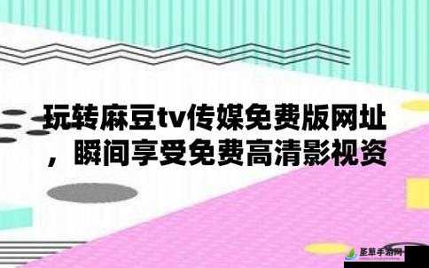 B站大全永不收费2024入口在哪：探寻之路