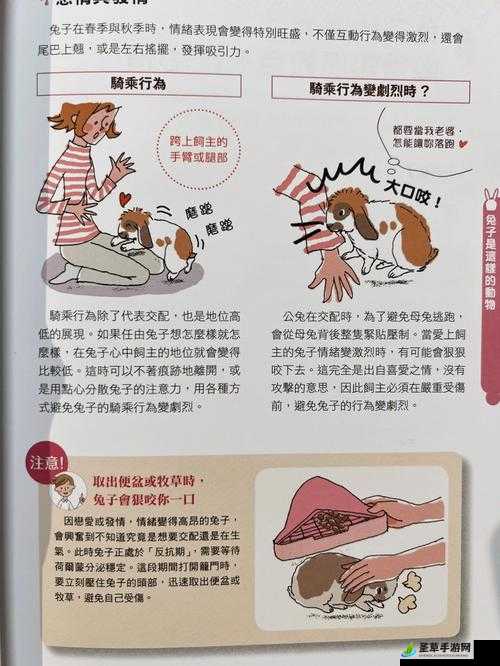 吃女朋友小兔兔的心理学分析探究