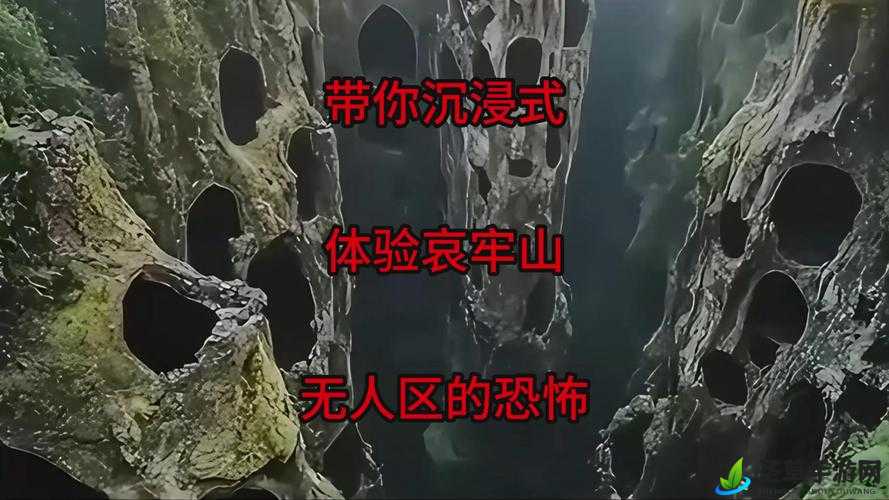 96 无人区码一码二码三码语音效果强大：极致体验等你来