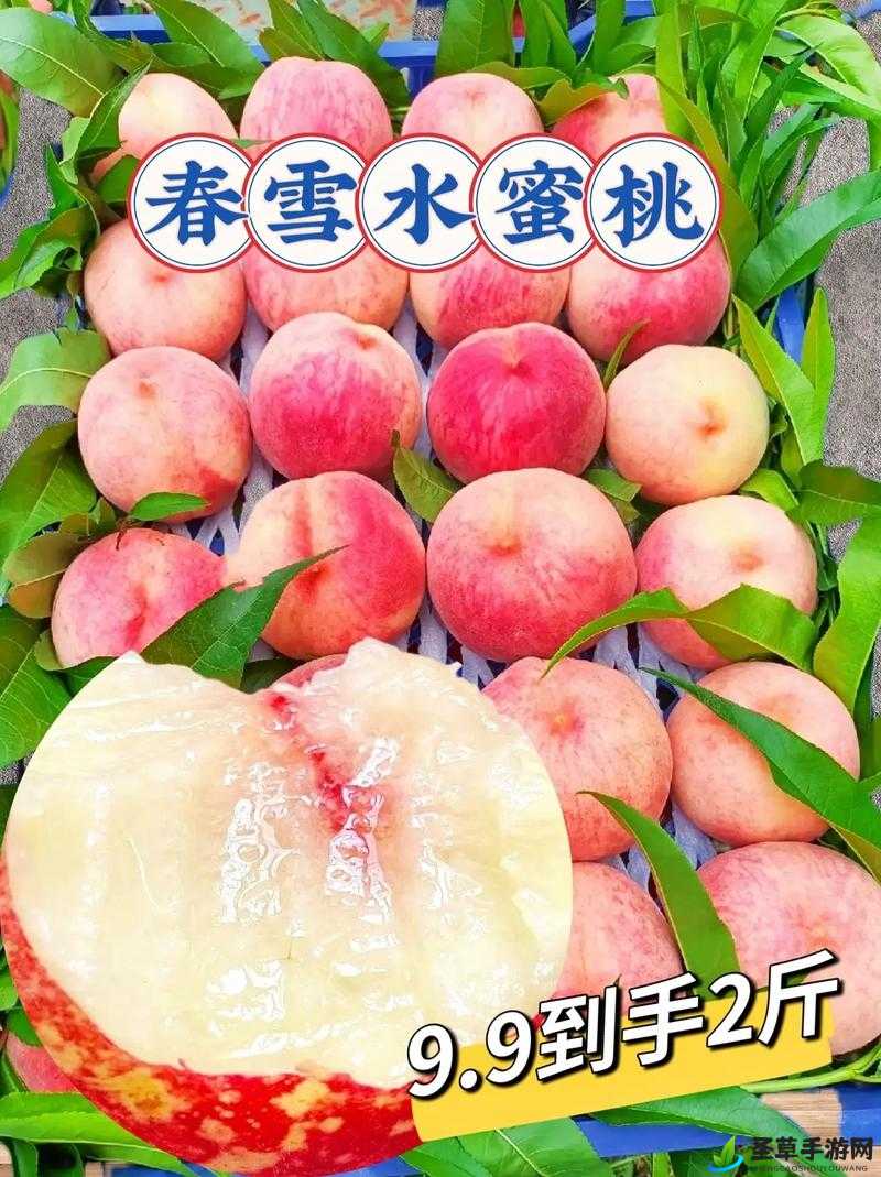 水蜜桃一三四专区：甜蜜的专属天地