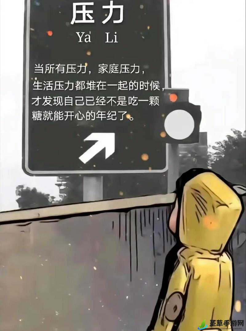 暴躁老阿姨：如何应对生活中的压力