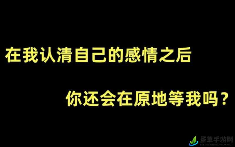 再试一次by 林光曦主要讲了什么：深度解析