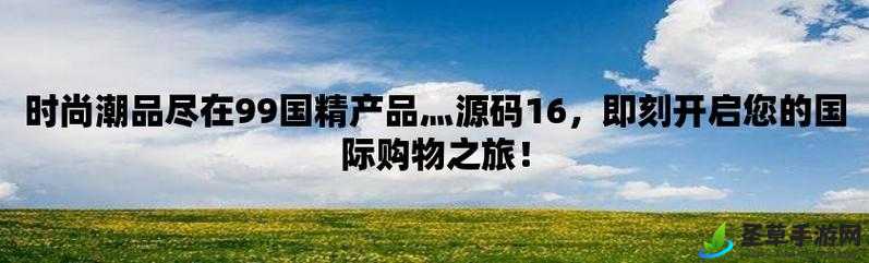 999 国精产品灬源码：高效、稳定、安全