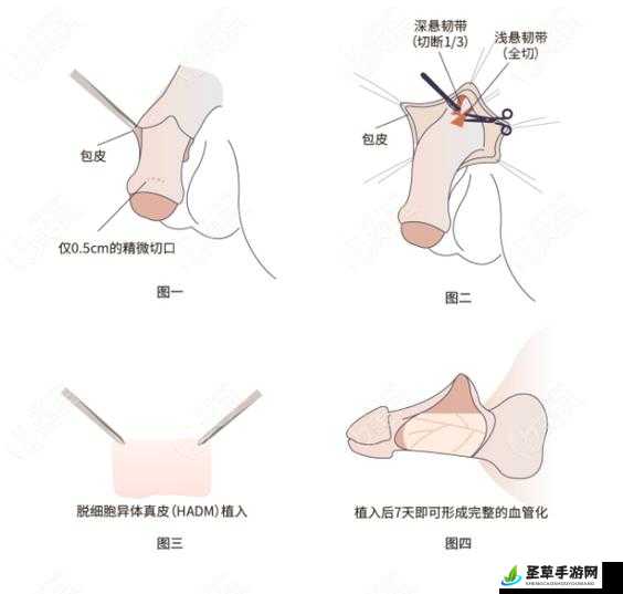 变大变粗的方法：实用技巧与指南