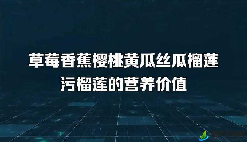 水果盛宴：草莓丝瓜芭乐樱桃榴莲黄的奇妙组合