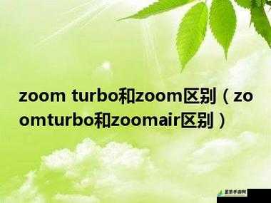 Zoom与人马性 Zoom 的区别：功能与特点各异