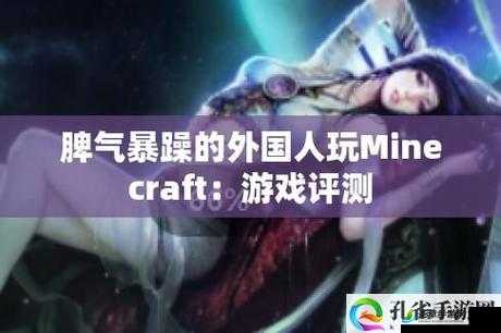 暴躁老外玩Minecraft中国：惊奇探险之旅