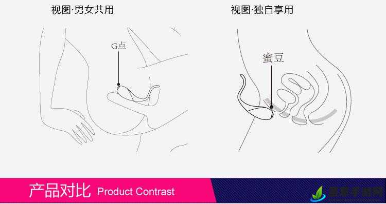 双跳dan 怎么用放在哪：使用及放置指南