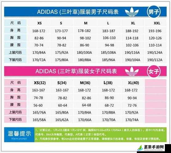 三叶草 M 码与欧洲码的区别