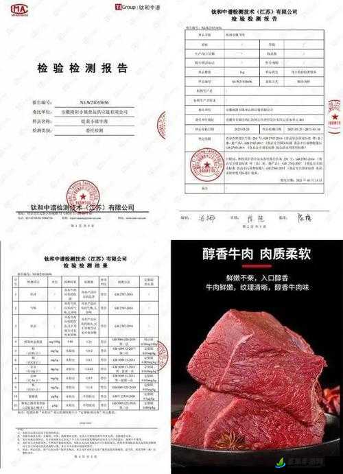 肉食家庭食取报告 1 免费：详细内容与分析