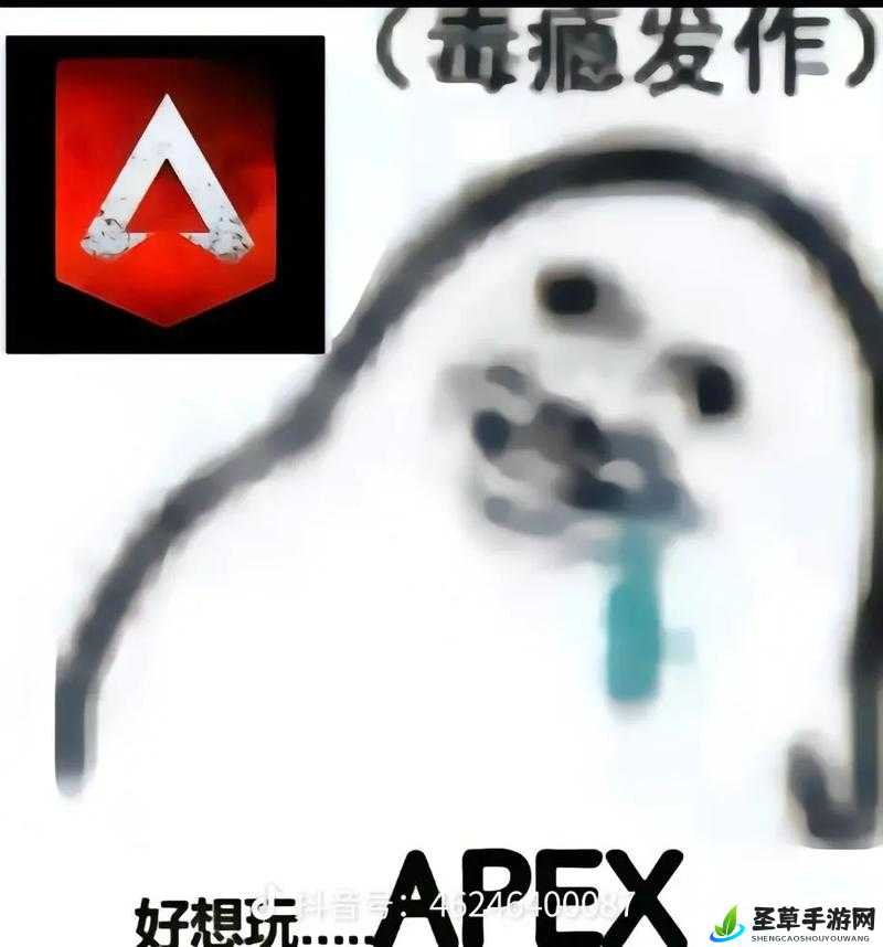 老婆不在家快来玩 apex：今晚嗨起来