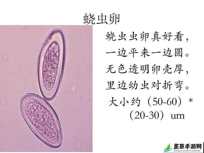 杀戮尖塔中的寄生奥秘：寄生效果类型详解及实战影响分析