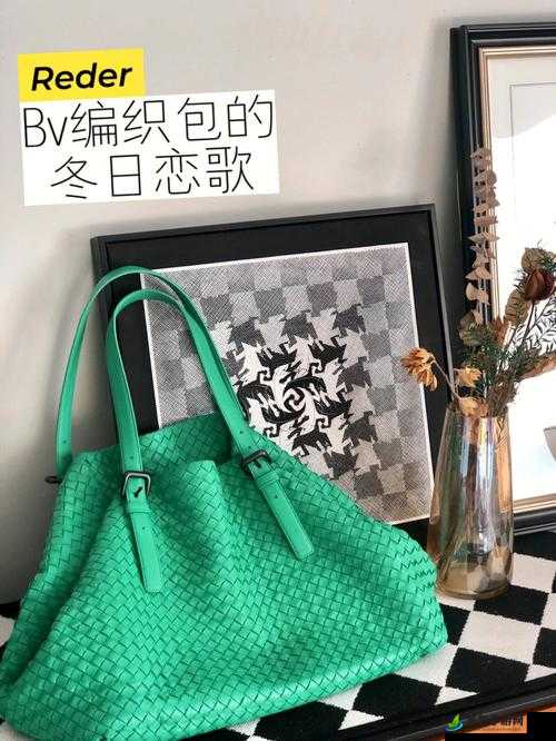 荷兰少归 BVBV：独特视角解读