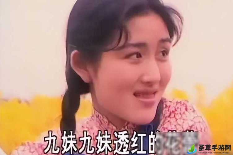 一杆大枪草一家三娘：探寻背后深意