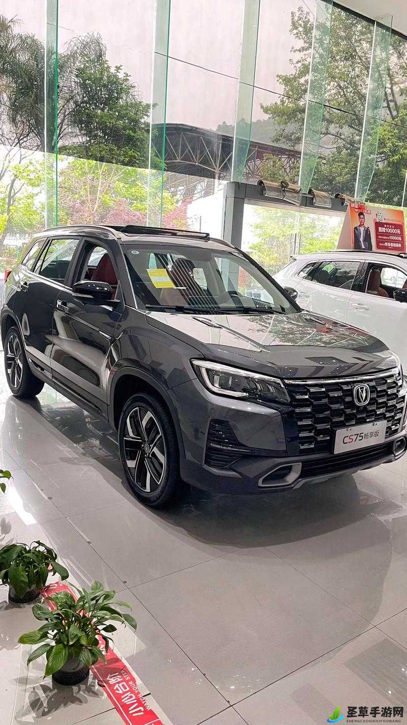 国产 SUV 精品一区二国产 SUV 引领 SUV 新潮流