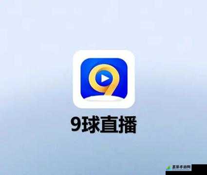 9 球直播官网 app 下载：畅享精彩赛事直播