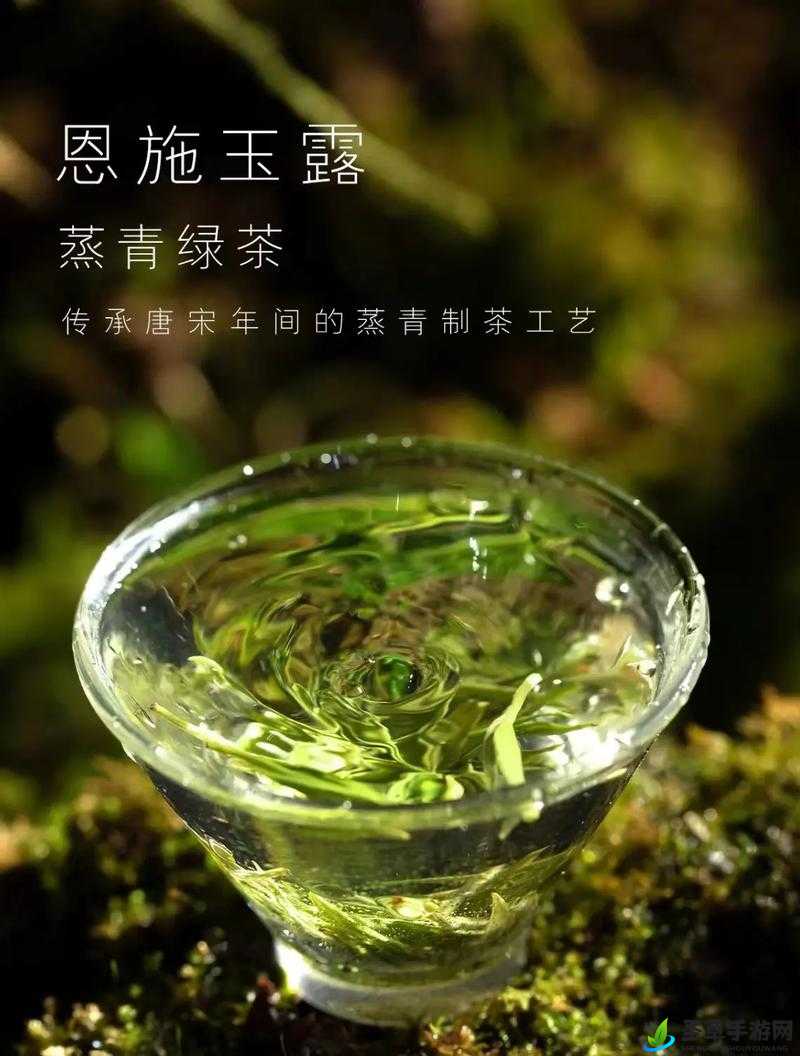 玉露春潮：茶香四溢润心田