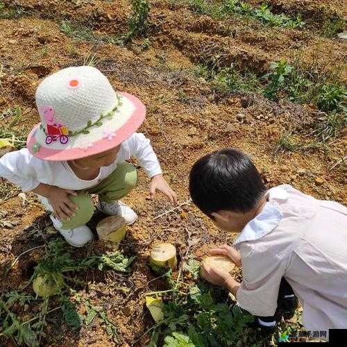 一小孩跟姐姐玩萝卜游戏：真有趣