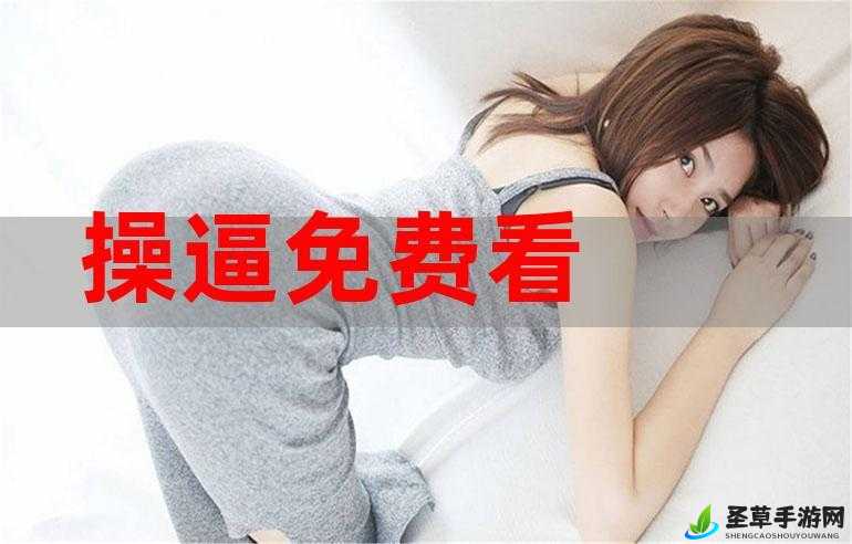 看操毛逼我们：一场别样的体验