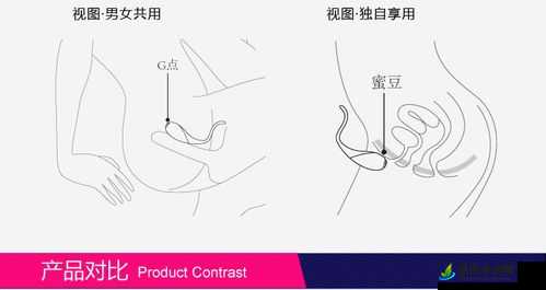 男玉势塞跳蛋：刺激体验的别样探索