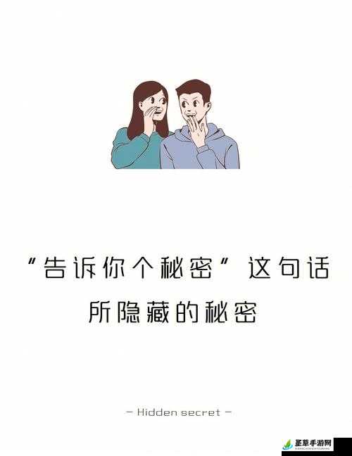 抬头看镜子里的接合处隐藏了什么：探寻背后的秘密