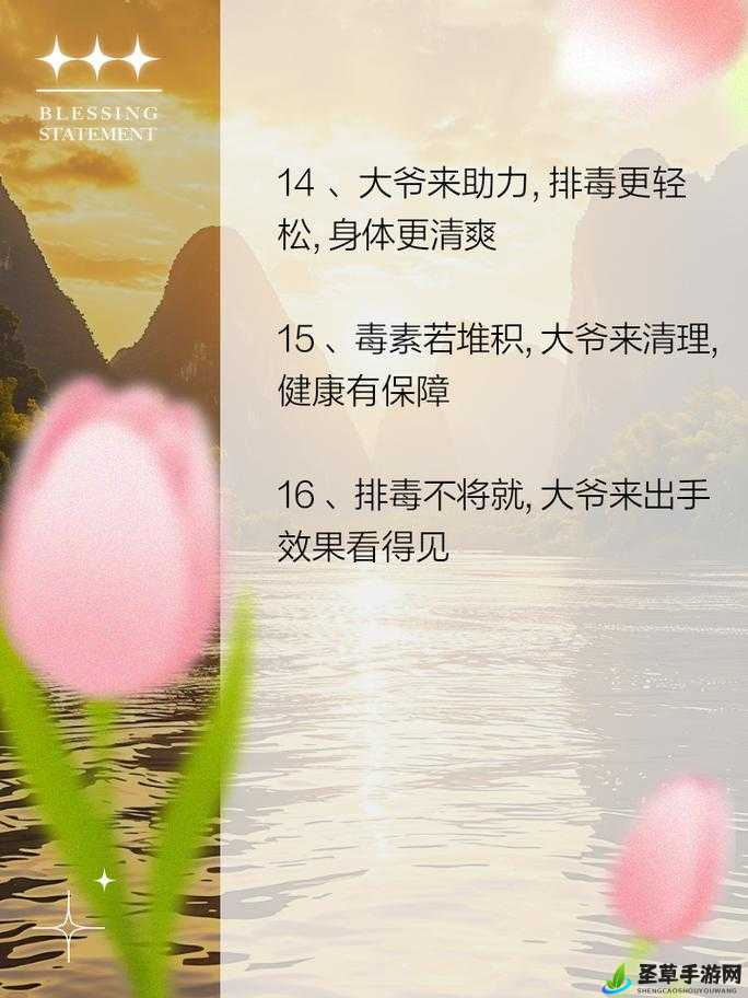 大爷：帮你排毒