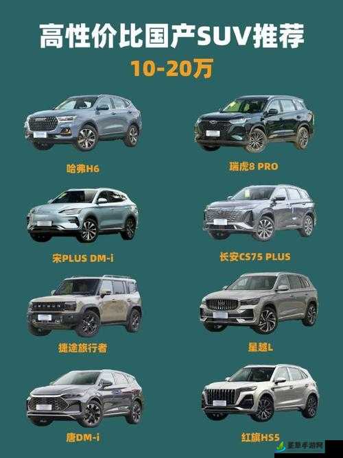 国产 SUV 精品一区二区：车型介绍与特点