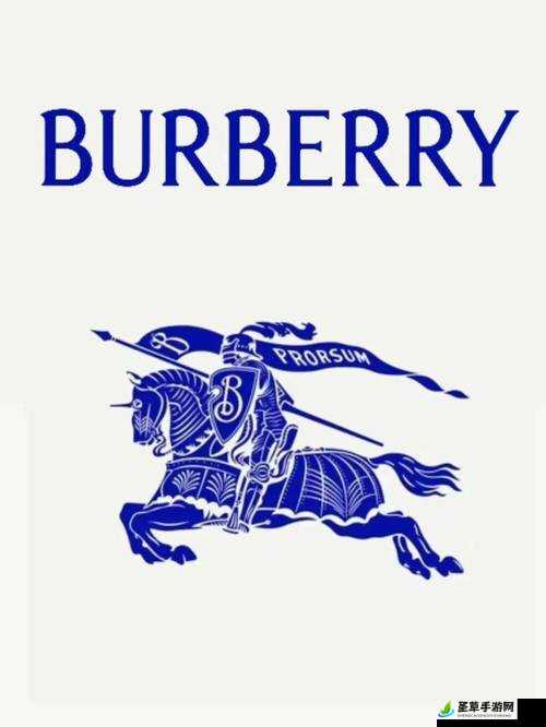 BURBERRY 中文免费版：时尚新体验