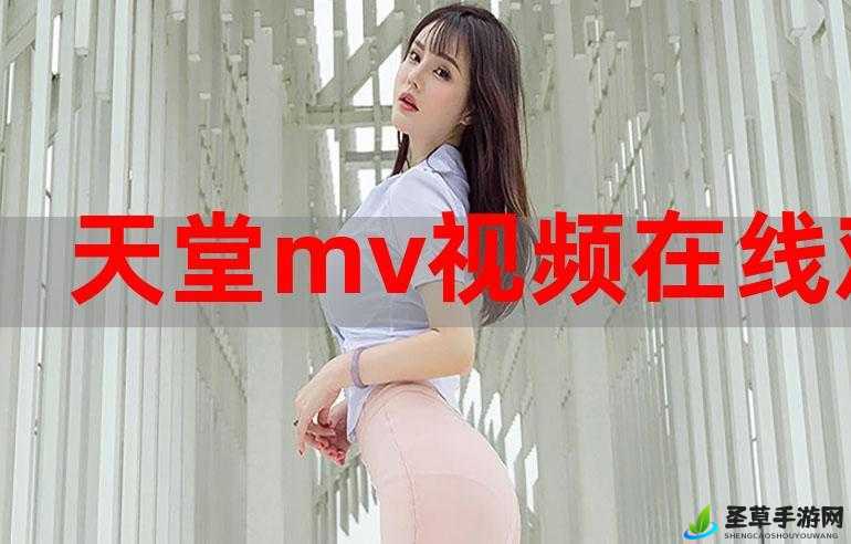 欧美日韩国产 MV 网站精彩汇聚