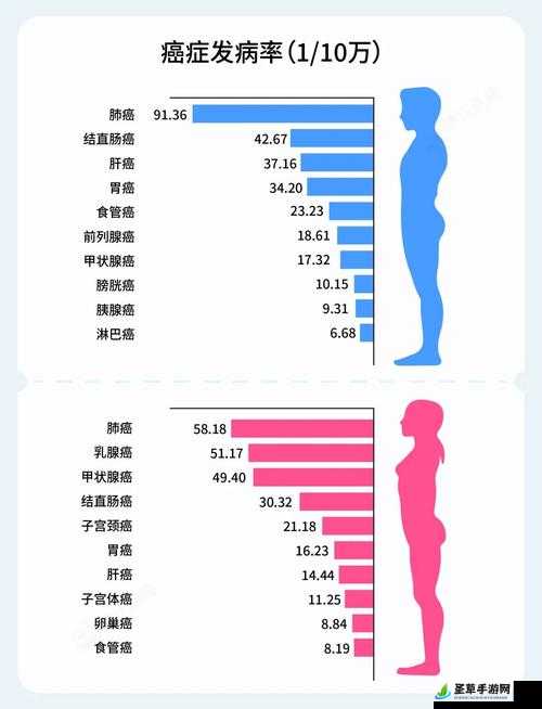 免费网站在线观看人数在持续上升