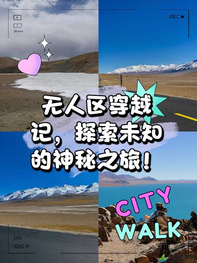 神秘路线入口：探索未知之旅