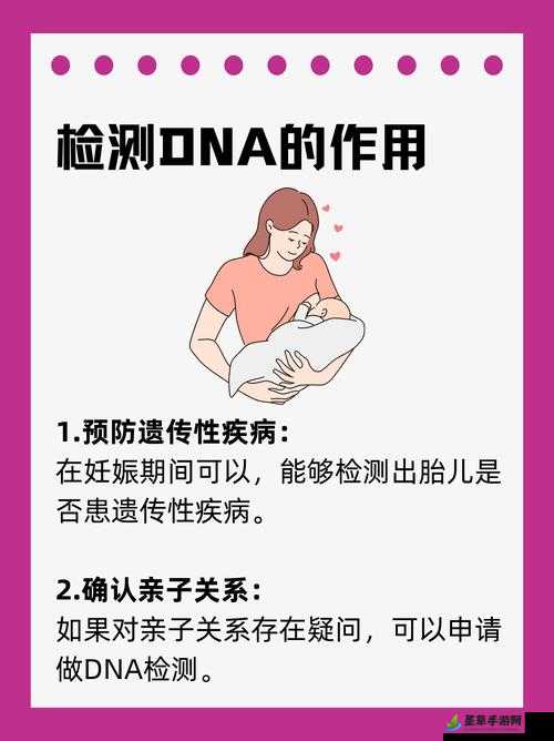 母亲的 DNA 和儿子的 DNA 是一样的吗：探究两者关系