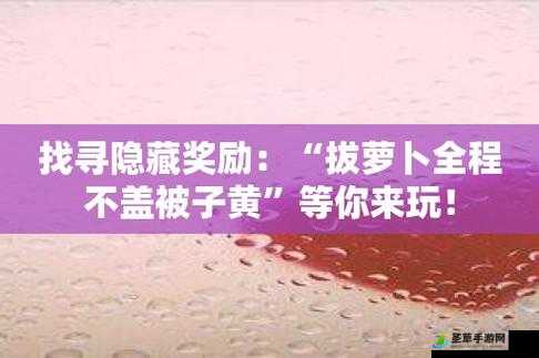 床上拔萝卜不盖被子可促进血液循环等好处