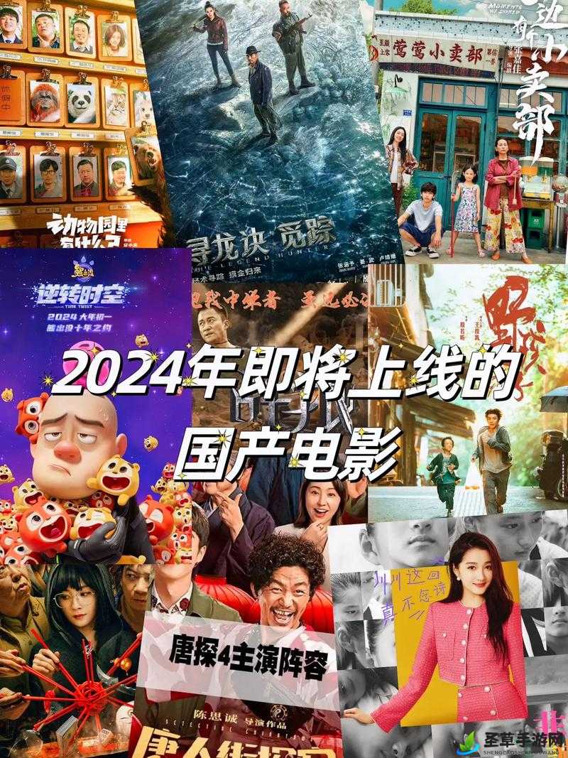 最近好看的 2024 免费：这些影片别错过