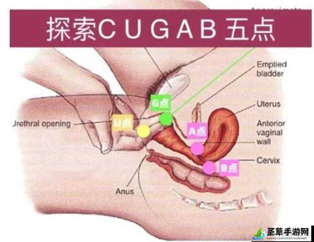 舔阴中文字幕：探索性爱的秘密