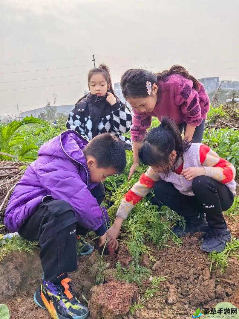 后二人世界拔萝卜：我与爱人的甜蜜时光