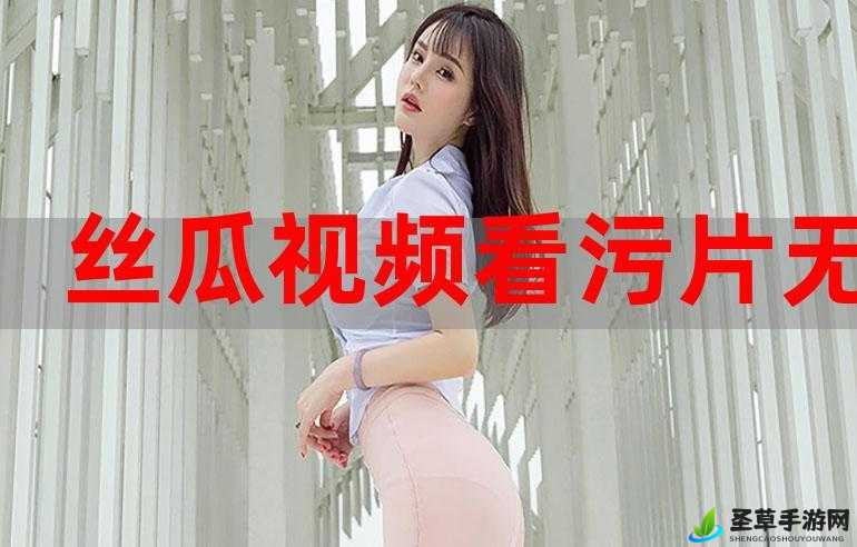 XVideos 免费看片：无尽激情等你来