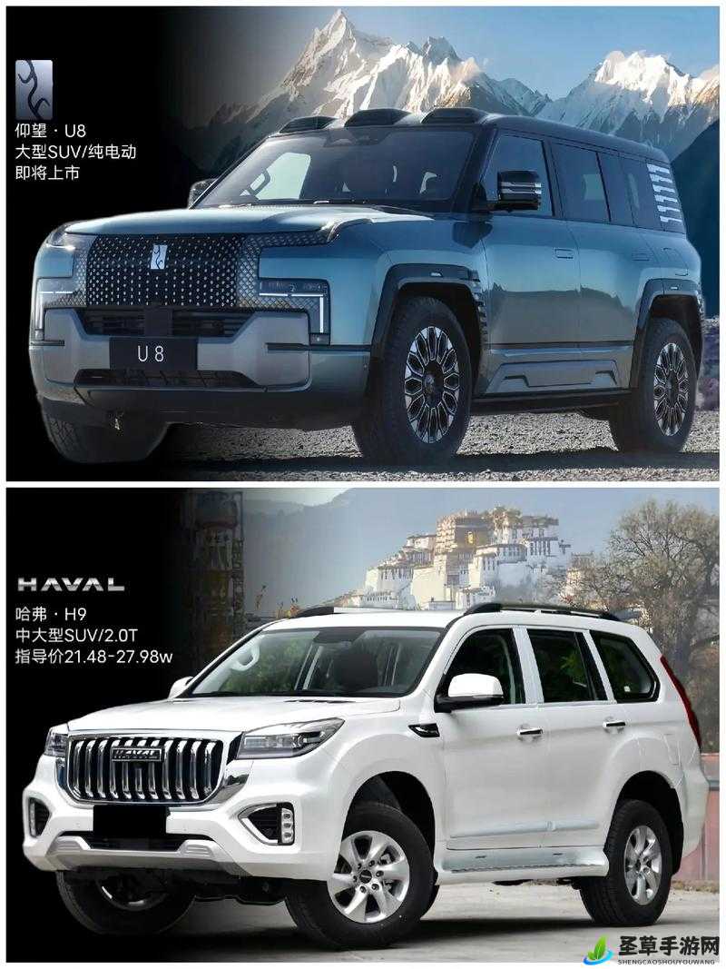 国产 SUV 精二区 69：家庭出行的最佳选择