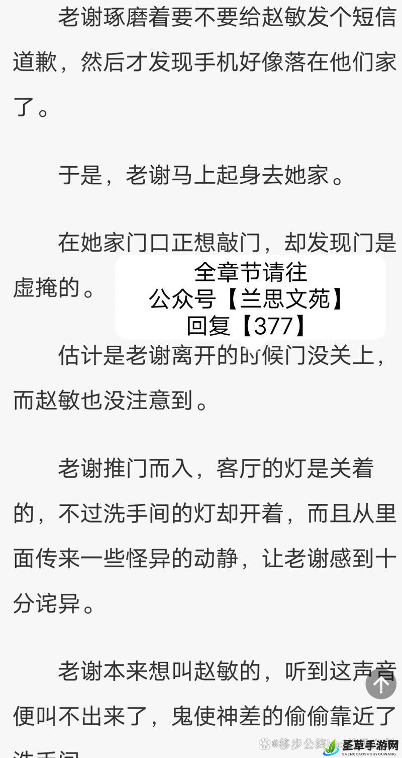 老谢赵敏业主维修工：他们之间的故事