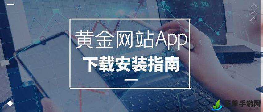 黄金网站 APP 视频播放画质选择：多档可选满足需求