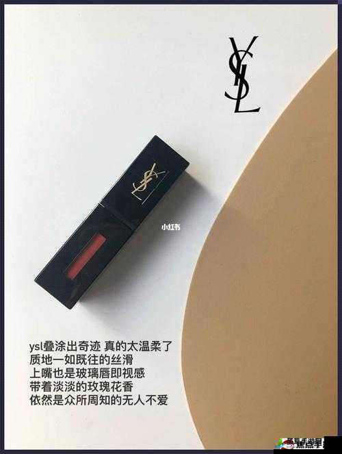 YSL 万人千色 T9，演绎时尚传奇