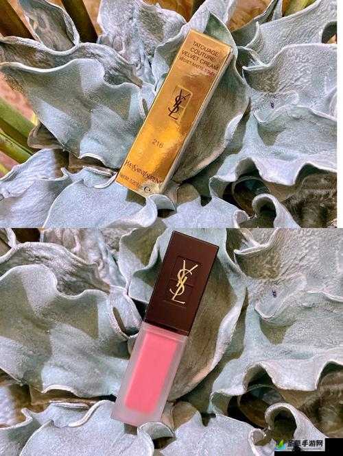 YSL 水蜜桃 86 官网新品及热门推荐