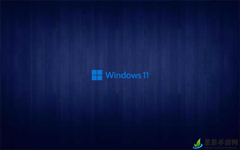 Windows 11 流畅播放 4K 高清视频