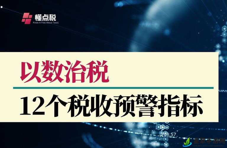 江南税课司满级作用揭秘：资源管理与税收效率的终极优化