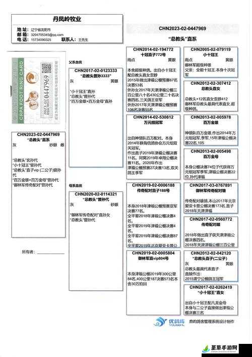 代号肉鸽新手流派大全之新手必看